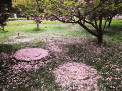 -山东大学(趵突泉校区)