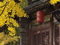 -晋祠公园
