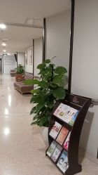 -北京新世纪妇幼医院·产检·分娩·计生(望京院区)