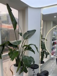 -赤道 Hair Salon