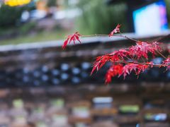 -宜城私房菜.臭鳜鱼(九华新街店)