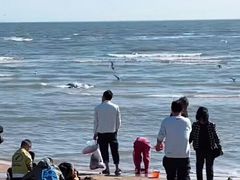 -老虎石海上公园