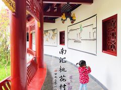-南汇桃花村