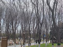 -大兴滨河森林公园