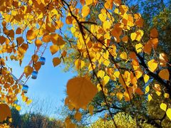 -哈尔滨文化公园