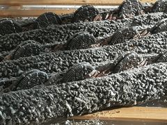 -奈雪的茶(中粮祥云小镇店)