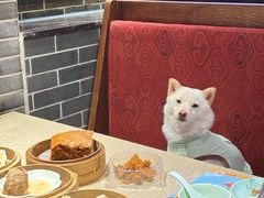 -点都德(汇点楼店)