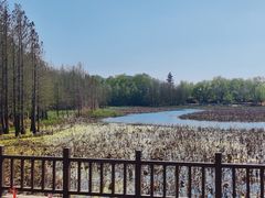 -云龙湖旅游景区