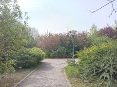 -北极寺公园
