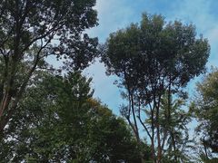 -南岳衡山风景名胜区-南岳大庙