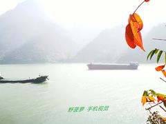 -羚羊峡古栈道森林公园