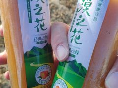 -库伦旗银沙湾旅游景区