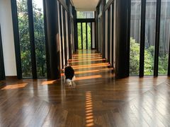 -上海崇明金茂凯悦酒店