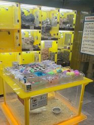-神奇动物撸宠馆·羊驼·小浣熊·异宠(豫园店)