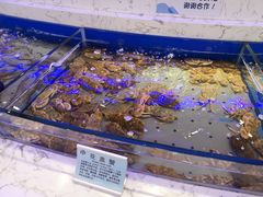 -澜悦港海鲜体验主题餐厅