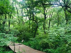 -大青沟风景区