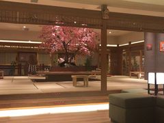 -大江户·温泉洗浴(浑南店)