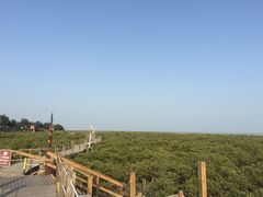 -北海金海湾红树林生态旅游区