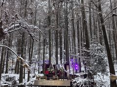 -波尔登森林公园