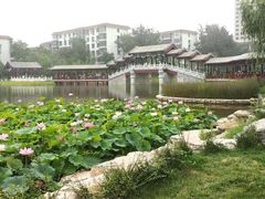 -西海子公园