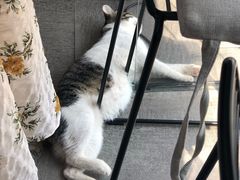 -UNI UNI(环亚凯瑟琳店)