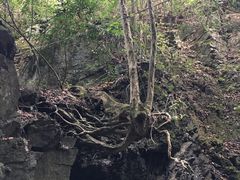 -藏龙百瀑风景区