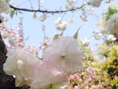 -四川大学(望江校区)