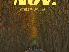 -东湖落雁景区