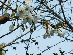 -苏州河梦清园环保主题公园