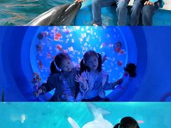 -蓬莱欧乐堡海洋极地世界