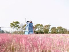 -花博汇(知音花月夜)