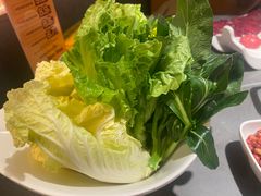 -潮发潮汕牛肉店(东方宝泰店)