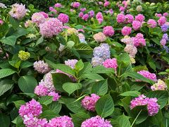 -常州古运河南大街文化旅游区-人民公园