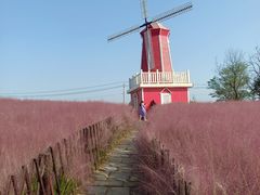 -羊亭河湿地公园