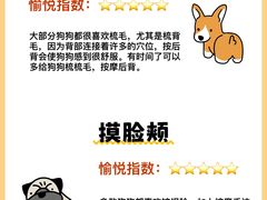 -翊宠yipet猫狗购宠庄园犬舍•猫舍