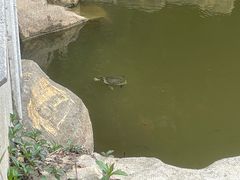 -水濂山森林公园