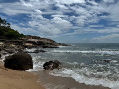 -广东惠东海龟国家级自然保护区