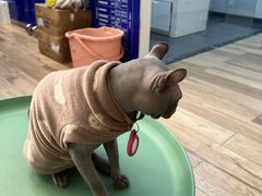 -拜鲁耶动物诊疗中心·宠家动物医院