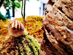 -陈熹公民族美食文化餐厅(中华广场店)