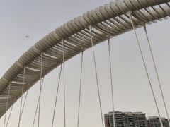 -福田红树林生态公园