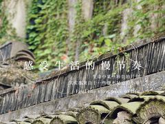 -金泽古镇