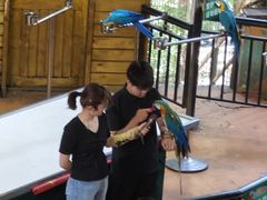 -燕塞湖鸟语林景区