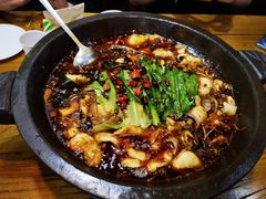 -都江堰石锅鱼