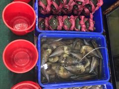-QQ海鲜餐厅