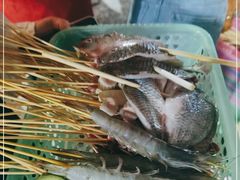 -杨合林啊兰烤鱼