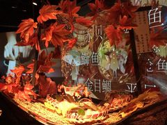 刺身五种拼盘-地球美食剧场