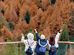 -山王坪喀斯特国家生态公园