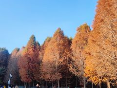 -捞渔河湿地公园