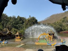 -西双版纳原始森林公园