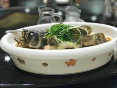 清蒸鲈鱼-油甘埔永新酒楼